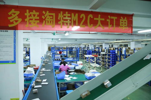 淘特2021 下沉市场的“性价比之王”突围战与数据处理服务的核心引擎