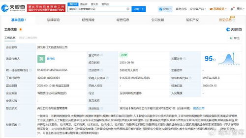 湖北丹江大数据公司成立，5亿注册资本瞄准数据处理服务新蓝海